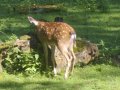 IMGP0784.JPG
